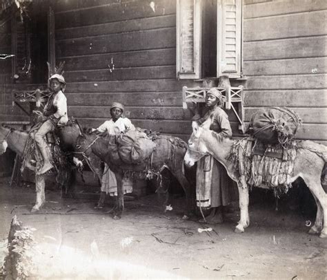 a duperly and sons country negroes starting out for kingston jamaica ca 1890 old jamaica