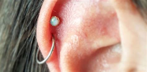 Cartilage Piercing Infection Causes Signs Bump How To Treat Clean