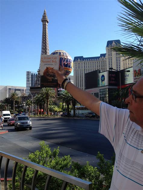 Around The World In 80 Bobs Bob In Las Vegas Nevada Usa 2