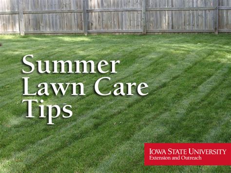 Extension And Outreach Offers Summer Lawn Care Tips Iowa