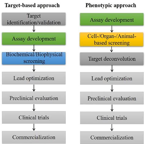 There Are Two Distinguishable Strategies In Drug Discovery Phenotypic