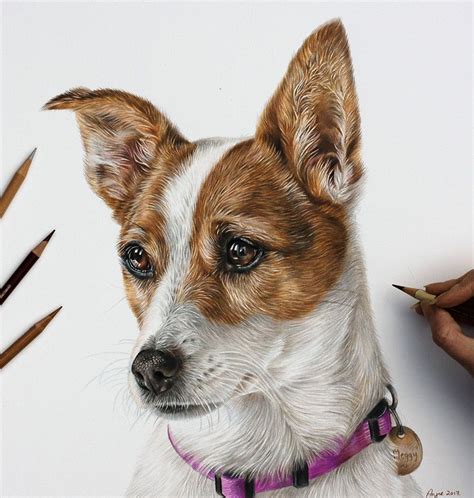 Dog Pencil Portraits Gallery Commission Your Own Here Colored