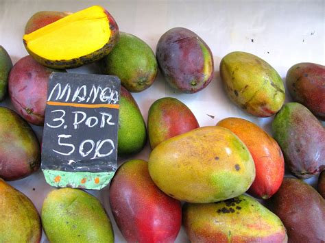 Mango Season In Rio De Janeiro 2022 Rove Me