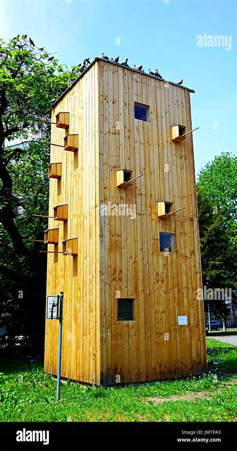 Bird Observation Tower Nest In Project Feederwatch In Karlsruhe