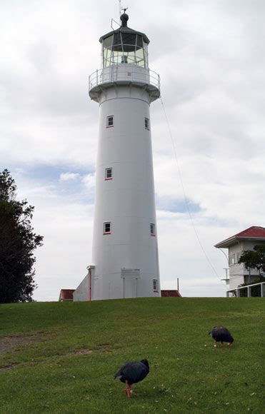 Tiritiri Matangi Lighthouse Auckland Places Te Ara Encyclopedia Of