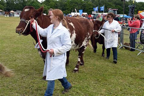 Livestock 051 Alyth Agricultural Show 2019 John Mullin Flickr