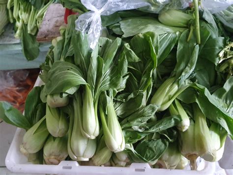 Shanghai Bok Choy Information Recipes And Facts