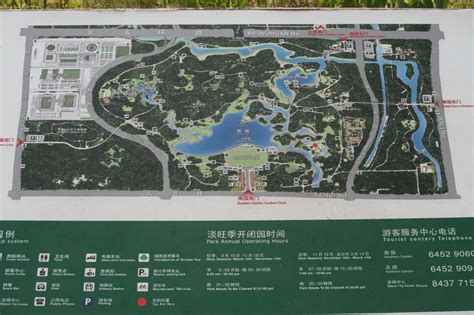 Olympic Forest Park Beijing Birding Beijing 北京观鸟