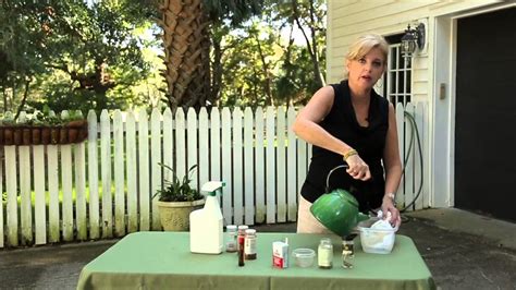 How To Make Homemade Non Plant Killing Pest Repellent