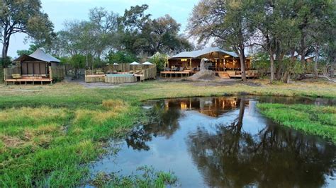 African Bush Camps Opens New Khwai Leadwood Camp Africa Safaris Shanrod Africa