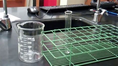 In animals, the ecm can surround cells as fibrils that contact the cells on all sides, or as a sheet called the basement membrane that cells 'sit on'. Cell Membrane Permeability Lab - YouTube