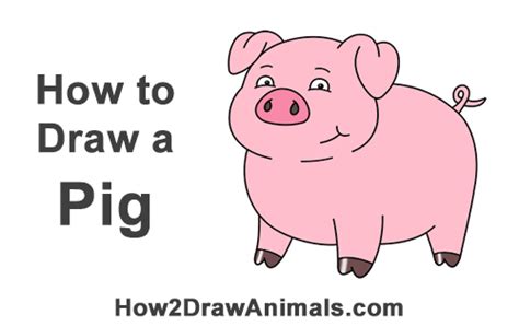 How To Draw A Pig Cartoon Video And Step By Step Pictures