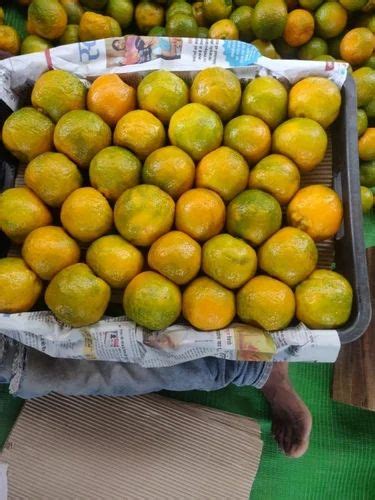 Fresh Orange Nagpur At Rs 55000ton Oranges In Amravati Id 13590904348