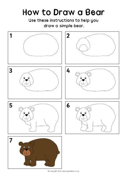 How To Draw A Bear Instructions Sheet Sb11506 Directed Drawing