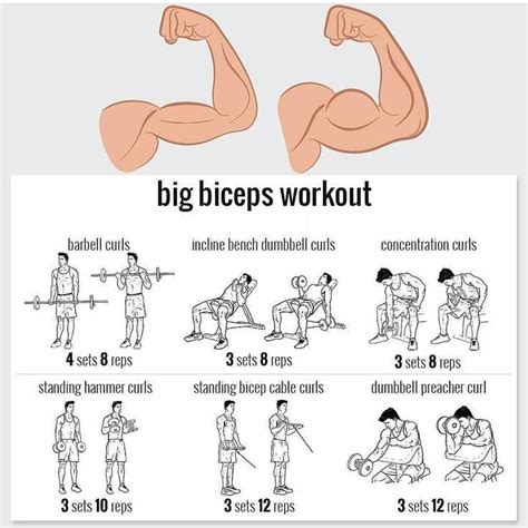 Ready To Boost Your Biceps Keep It Short And Simple By Sticking With A