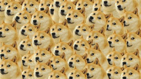 49 Doge Wallpapers