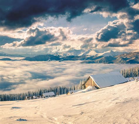 Sunny Winter Scene In The Foggy Mountains Stock Photo