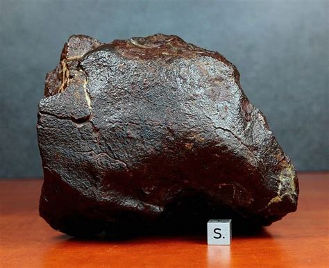 Main Mass Individual Dhofar 1731 H5 Chondrite With Black Primary