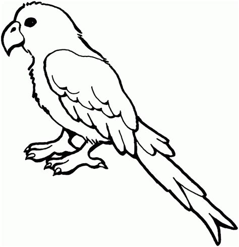 Parrot Clipart Black And White Parrot Black And White Transparent Free