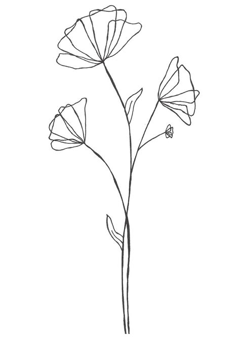 Simple Floral Line Drawing 2 Downloadable Print Etsy