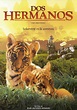 Películas sobre Tigres | Filmaboutit.com