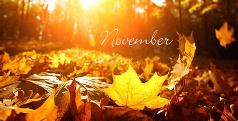 November The Boring Month Of Fall Bv West Spotlight Online
