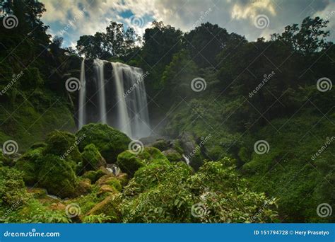 The Waterfall Curug Sewu Indonesia Stock Photo Image Of Sewu