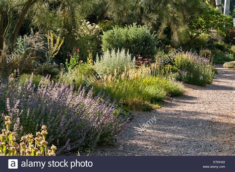 Maybe you would like to learn more about one of these? Hanne Hansen: Drought Resistant Flowering Plants Uk ...