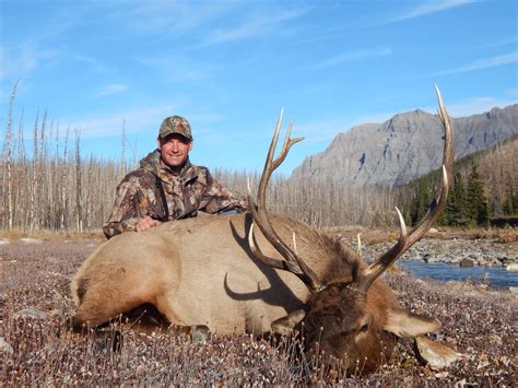 Elk Hunting Season Big Nine Outfitters