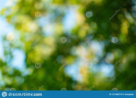 Nature View Of Green Leaf On Blurred Background In Garden Plant Stock