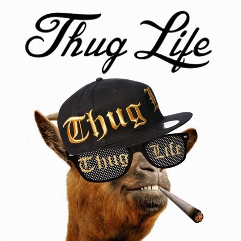 Thug Life Youtube