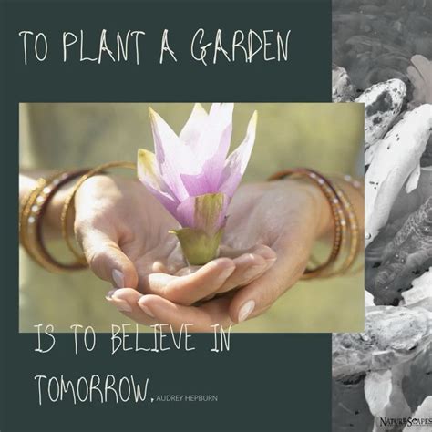To Plant A Garden Is To Believe In Tomorrow Video Pond Design