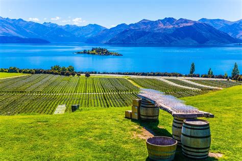 Diplomatic presence in new zealand dates back to the commissioning of the first u.s. New Zealand's wine industry celebrates its 200th anniversary