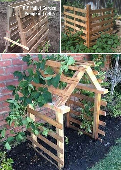 Top 28 Easy And Cheap Diy Garden Trellis Ideas