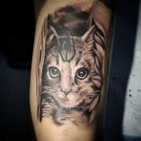 Realistic Cat Tattoo By David Baran