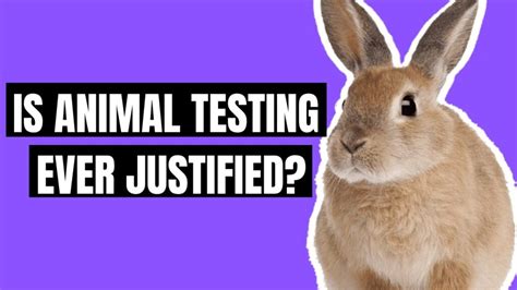 The Ethics Of Animal Testing In Scientific Research Ngschoolboard