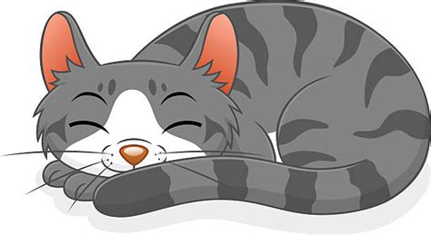 Best Cat Sleeping Illustrations Royalty Free Vector Graphics And Clip