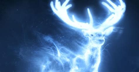 Harry's ability to produce a powerful, corporeal patronus at age 13 — under the guidance of his third year defense against the dark arts professor, remus lupin — is noted throughout the series. What Animal Is Actually Your Patronus? | MagiQuiz