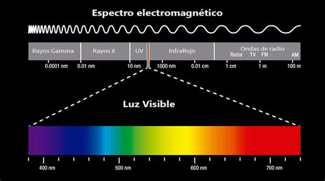 Espectro De Luz Visible Y El Espectrofotometro Espectro De Luz Visible