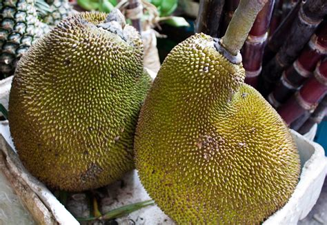 How To Prepare A Jackfruit