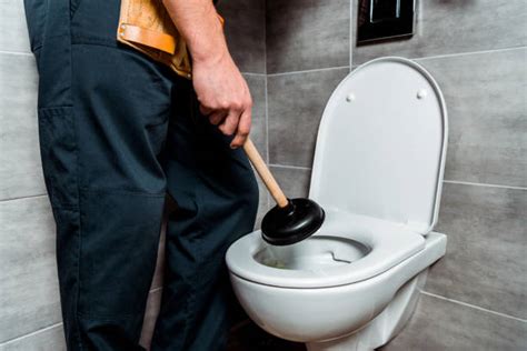 4700 How To Use A Toilet Plunger Stock Photos Pictures And Royalty
