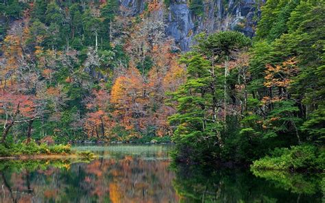 Nature Landscape Water Turquoise Fall Trees Lake Shrubs Reflection