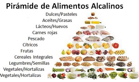 Cu Les Son Los Alimentos Alcalinos Y Sus Beneficios