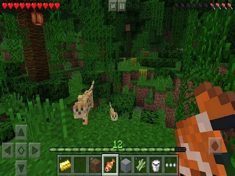 One of the most successful games over the last few years is also one of the most peculiar. Minecraft Pocket Edition krijgt de grootste update ooit