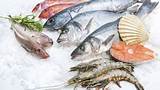 Images of Seafood Allergy Treatment