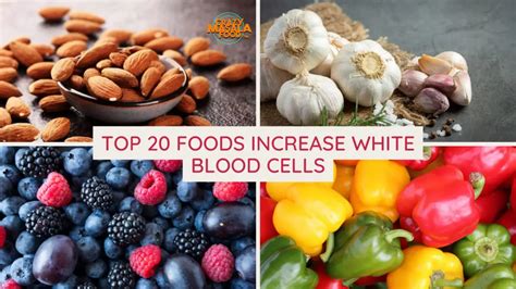 20 Foods That Increase White Blood Cells Crazy Masala Food