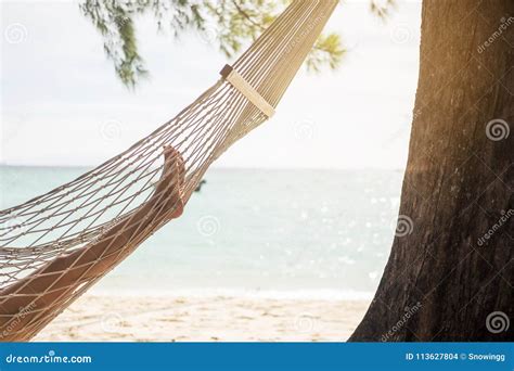Woman Relaxing In The Hammock At The Beach Stock Photo Image Of Sand