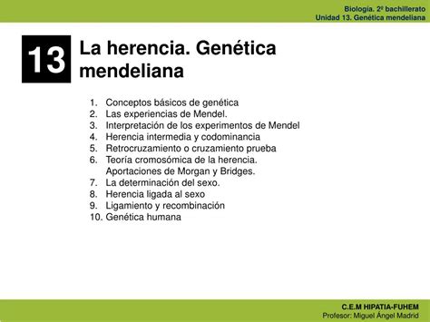 Ppt La Genética Mendeliana Powerpoint Presentation Free Download