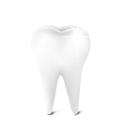 Clean Tooth Png Transparent Image Png Mart