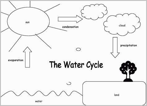 Students color a simple water cycle coloring page. Exclusive Picture of Water Cycle Coloring Page ...